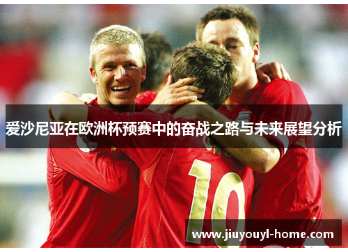 爱沙尼亚在欧洲杯预赛中的奋战之路与未来展望分析