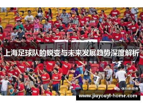 上海足球队的蜕变与未来发展趋势深度解析